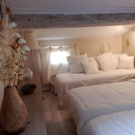La Maison Perchee Aigues-Mortes Rum bild